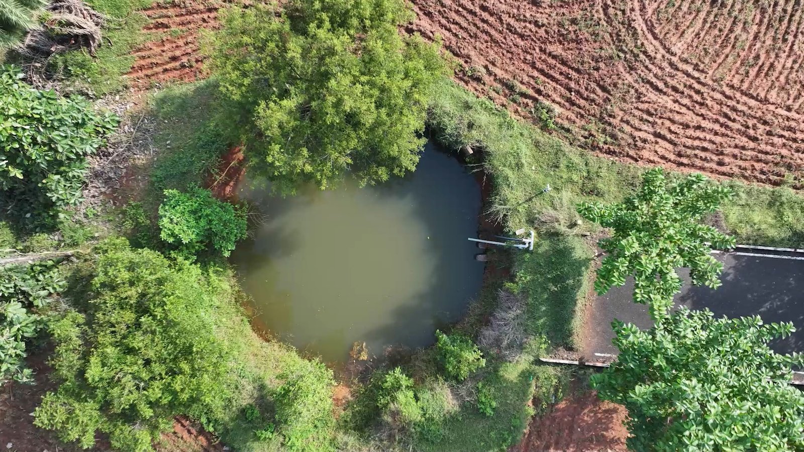 Chengalpattu Ad 01.mp4_snapshot_00.08.976