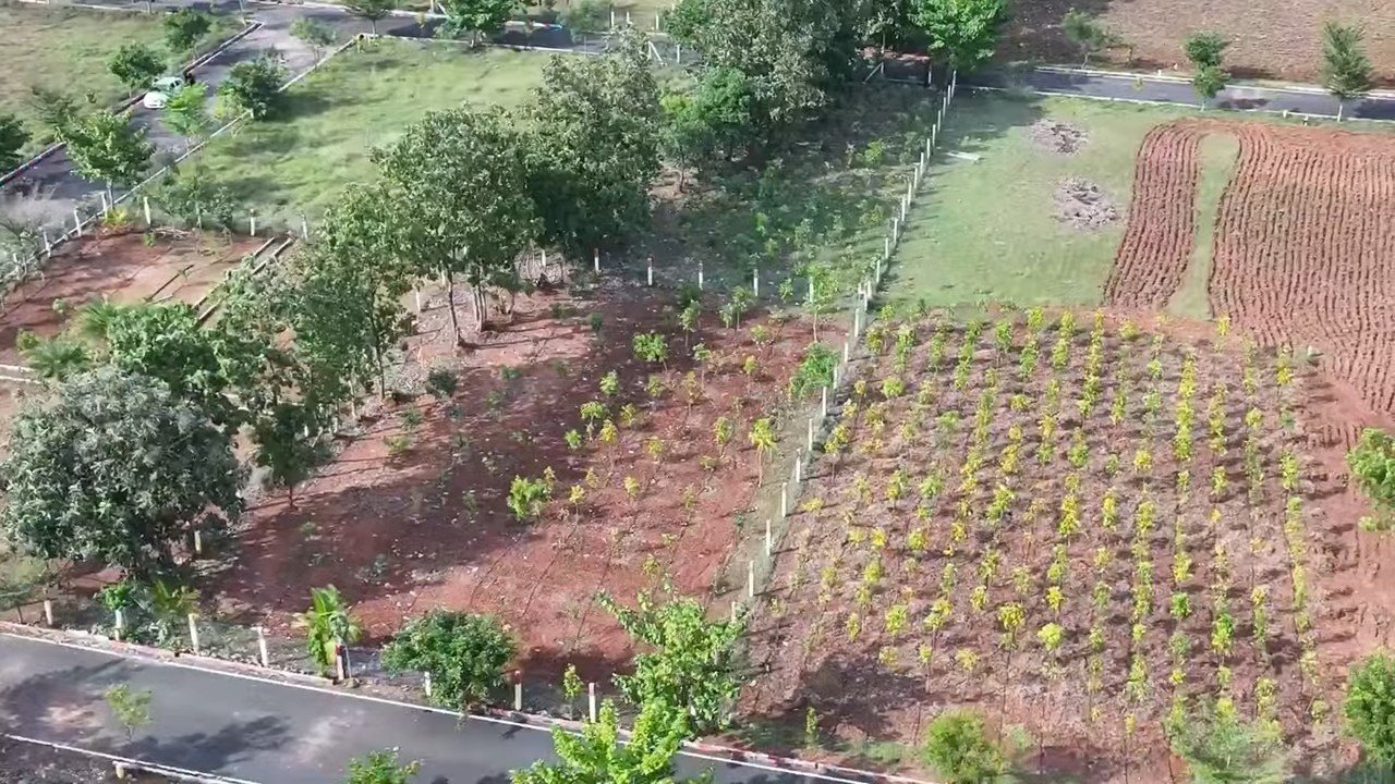 Chengalpattupinkfarms.webm_snapshot_00.04.754